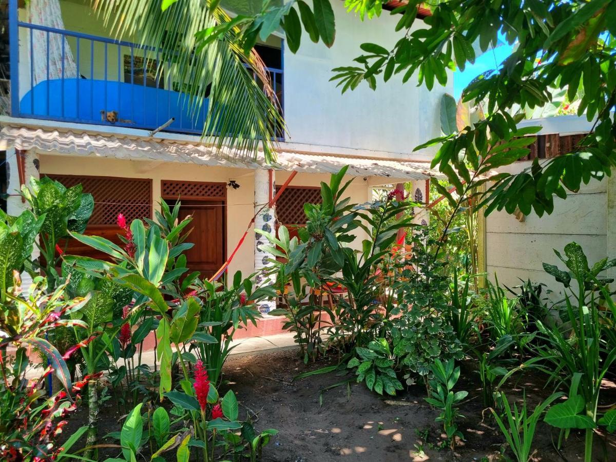 Wildlife Art Tortuguero Hotel Exterior foto